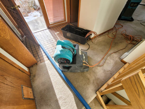 Best Flood restoration services  in Sturgeon Bay, WI
