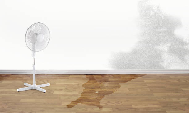  Sturgeon Bay, WI Water damage restoration Pros