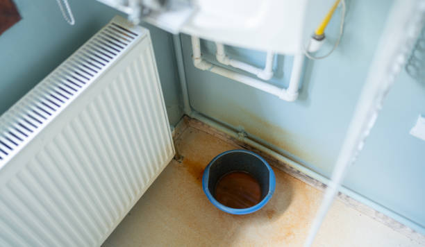 Best Professional water damage repair  in Sturgeon Bay, WI