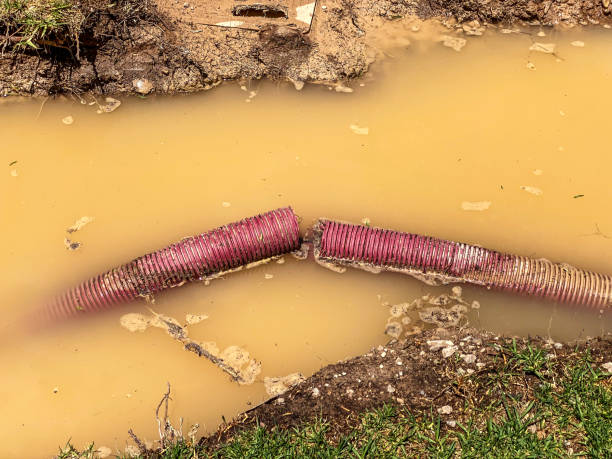 Best 24/7 water damage repair  in Sturgeon Bay, WI