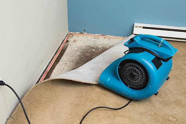 Best Emergency water damage restoration  in Sturgeon Bay, WI